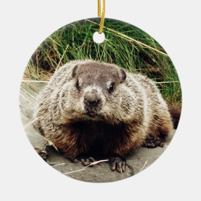 Groundhog Julgransprydnad Keramik (Framsidan)