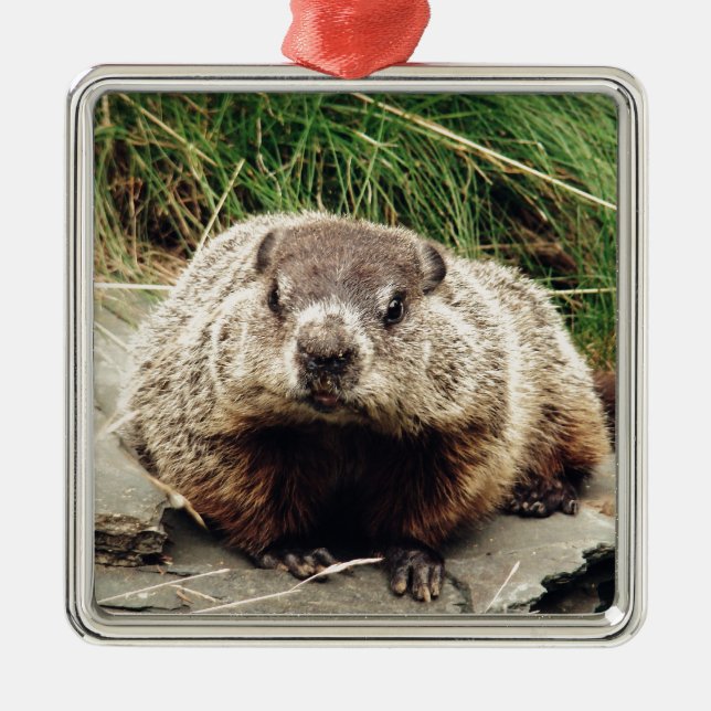 Groundhog Julgransprydnad Metall (Framsidan)