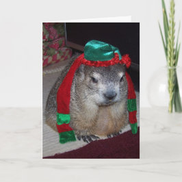 Groundhog-julkort Helgkort