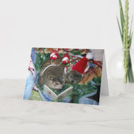 Groundhog julkort helgkort