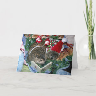 Groundhog julkort helgkort