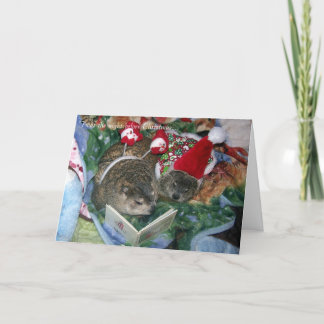 Groundhog julkort helgkort