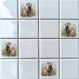 Groundhog Kakelplatta