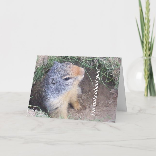 Groundhog Kärlek-kort Tack Kort (Framsida)