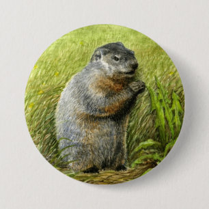 Groundhog klämmer fast/knäppas knapp