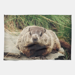 Groundhog Kökshandduk