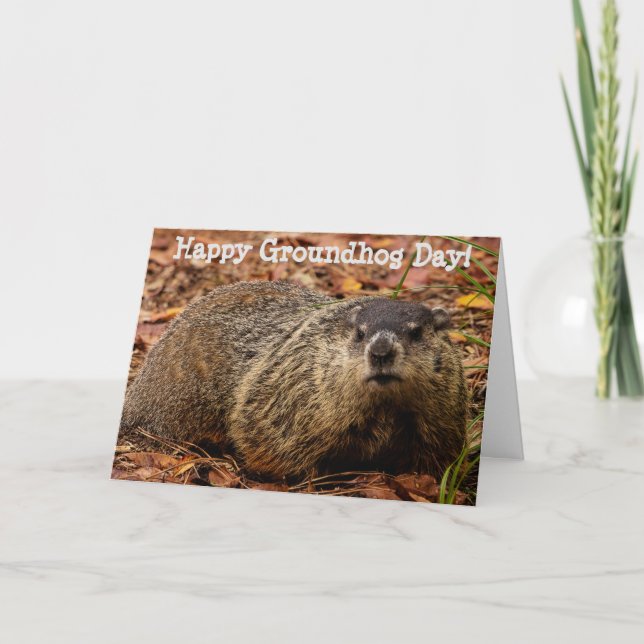 Groundhog Kort (Framsida)