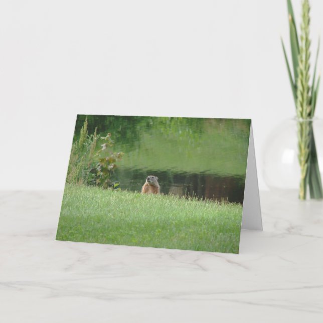 Groundhog Kort (Framsida)