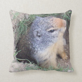 Groundhog kudder kudde