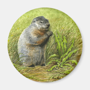 Groundhog magnet