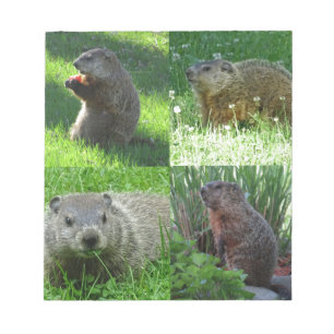 Groundhog medley anteckningsblock
