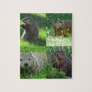 Groundhog medley pussel