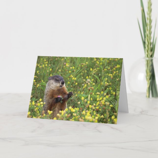 Groundhog Pose Card Kort (Framsida)