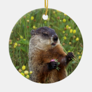 Groundhog Pose Julgransprydnad Keramik