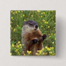 Groundhog Pose Knapp