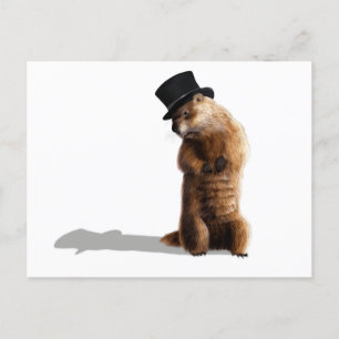 Groundhog Seeing Shadow Vykort