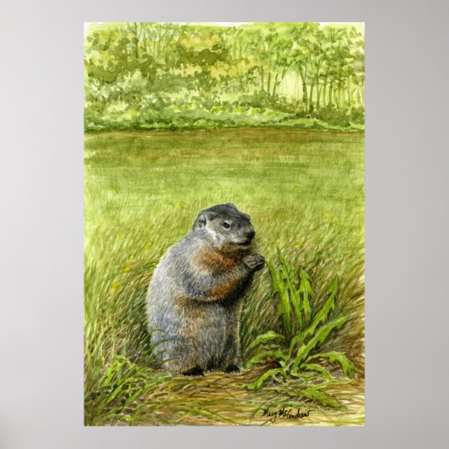 Groundhog Sitta i gräsmätningen Poster (Framsidan)
