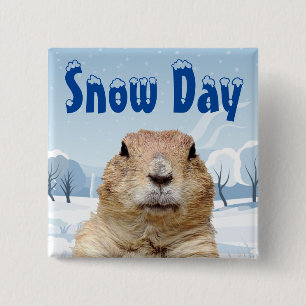 Groundhog Snö-dagen Knapp