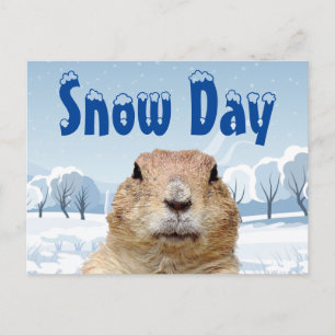 Groundhog Snö-dagen Vykort
