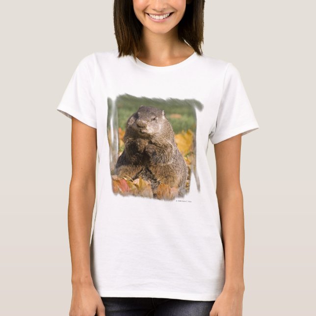 Groundhog T Shirt (Framsida)