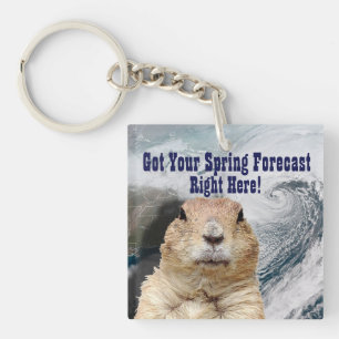 Groundhog Vår prognos