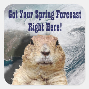 Groundhog Vår prognos Fyrkantigt Klistermärke