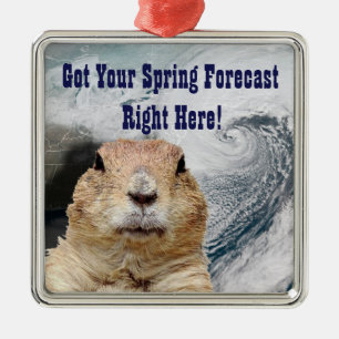 Groundhog Vår prognos Julgransprydnad Metall