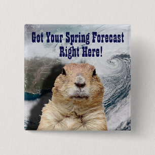Groundhog Vår prognos Knapp