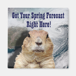 Groundhog Vår prognos Magnet