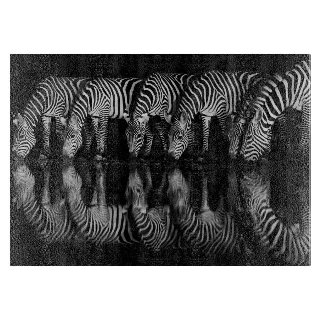 Group of Plains Zebra Drink Together at Night (Framsidan)