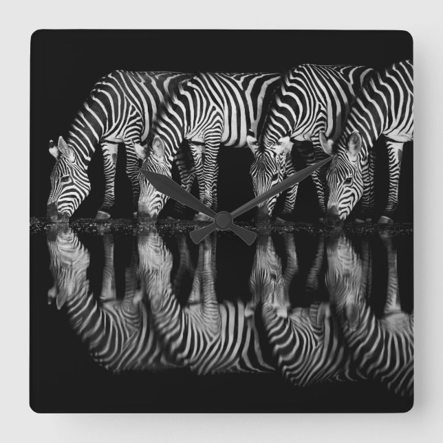 Group of Plains Zebra Drink Together at Night Fyrkantig Klocka (Framsida)
