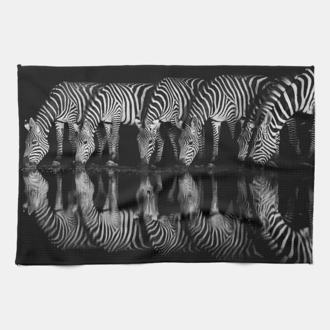 Group of Plains Zebra Drink Together at Night Kökshandduk (Horisontell)