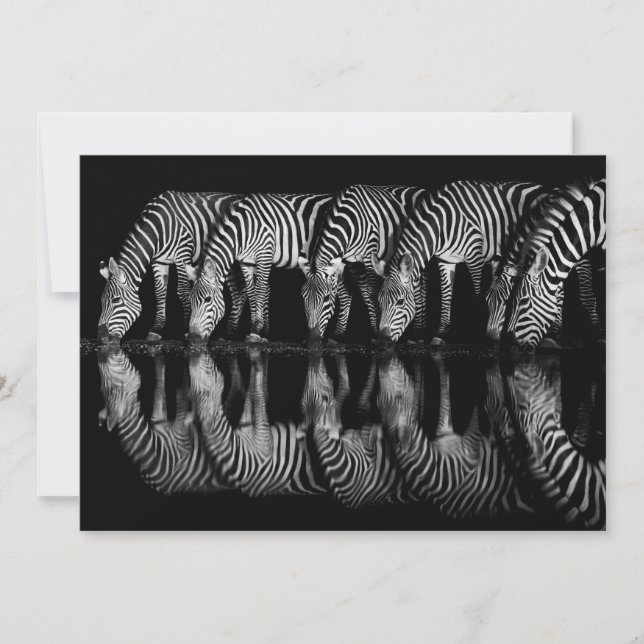 Group of Plains Zebra Drink Together at Night Tack Kort (Framsida)