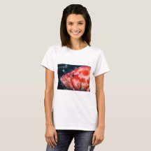 Grouper och Cleaner Shrimp