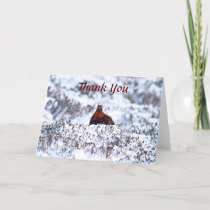 Grouse i ett tackkort för Snöstorm