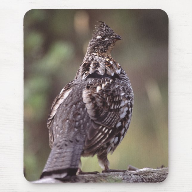 Grouse Musmatta (Framsidan)