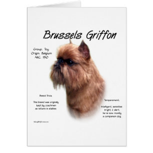 Grov Bryssels Griffon-historia Hälsningskort