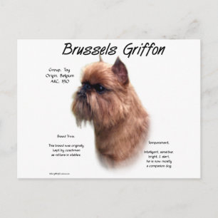 Grov Bryssels Griffon-historia Vykort