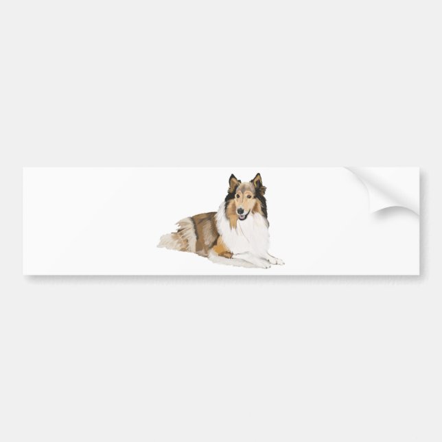 Grov Collie Bildekal (Framsidan)