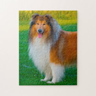 Grov Collie Hund Jigsaws. Pussel