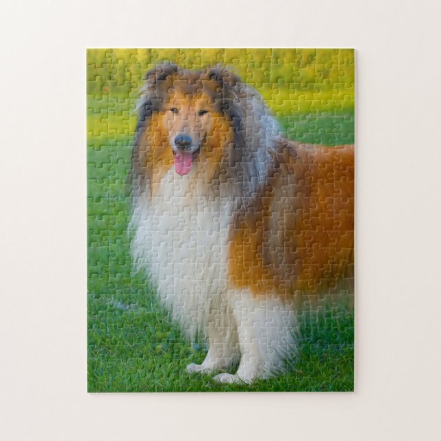 Grov Collie Hund Jigsaws. Pussel (Vertikal)