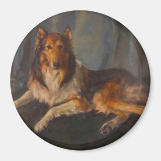 grov collie magnet
