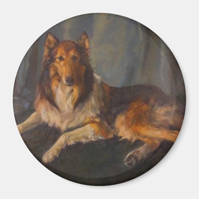grov collie magnet (Framsidan)