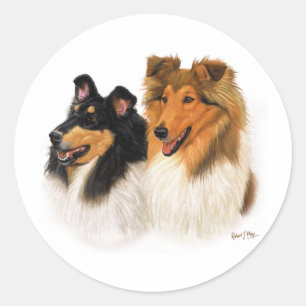 Grov Collie Runt Klistermärke