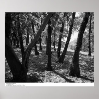 Grove at Hopland Station, 1966 Poster