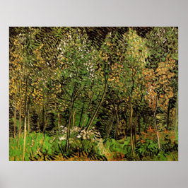 Grove av Vincent van Gogh Poster