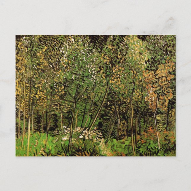 Grove av Vincent van Gogh Vykort (Framsida)