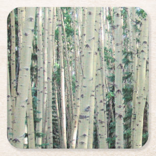 Grove Colorado Aspen Träd Underlägg Papper Kvadrat