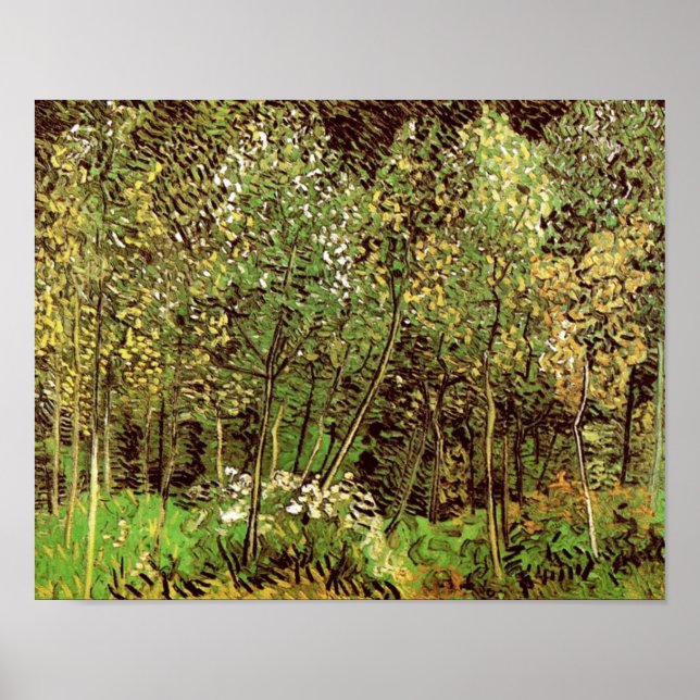 Grove (F817) Van Gogh Fine Art Poster (Framsidan)