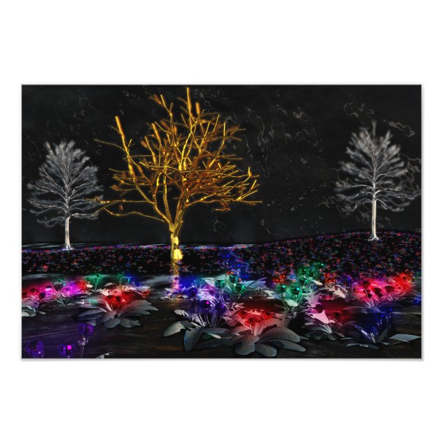 Grove of Living Gems Photo Print Fototryck (Framsidan)